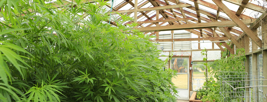 Security Solutions for Apartments in Greeley, CO